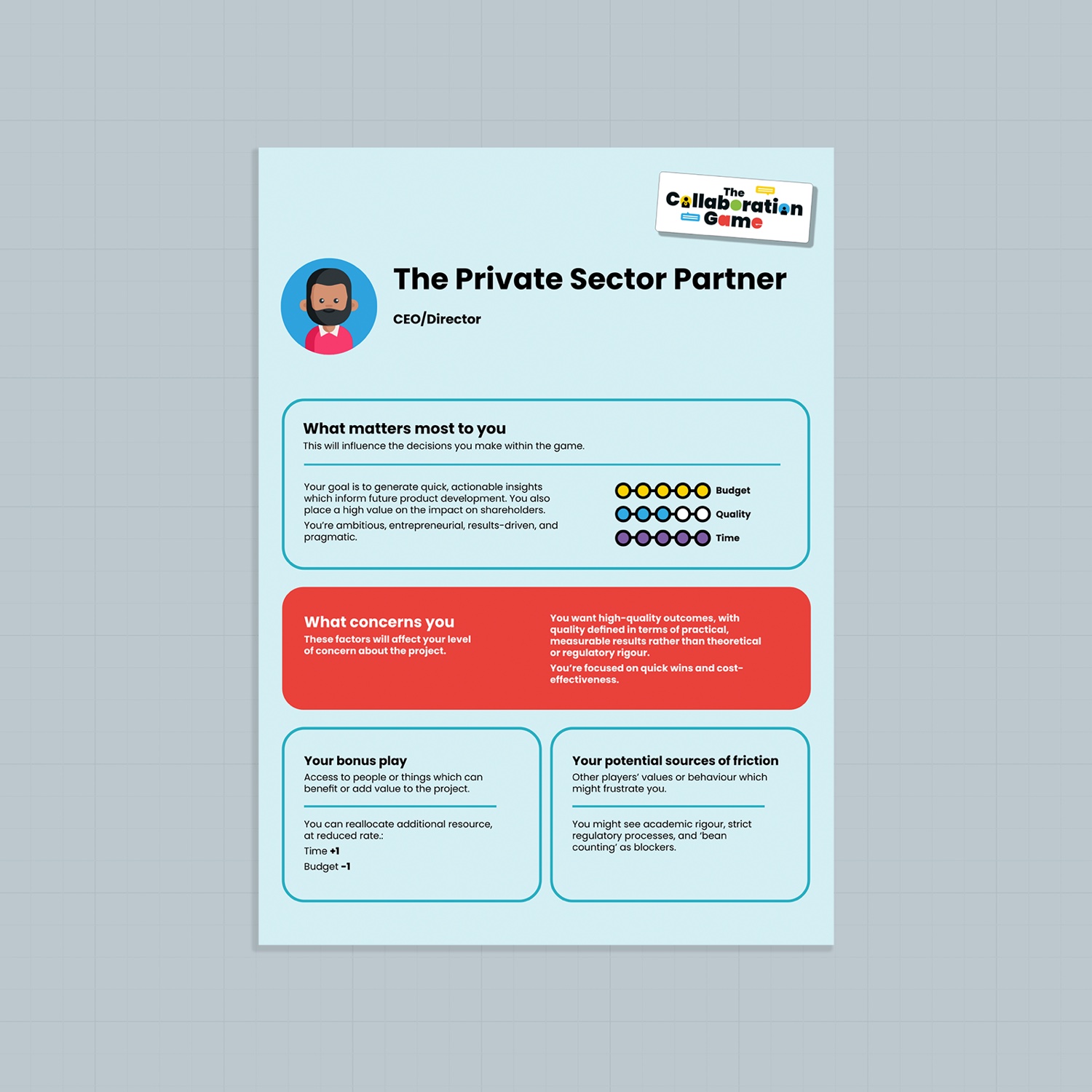 Player role card — The Private Sector Partner, a CEO/Director, with what matters most to them, what concerns them, a bonus play and potential sources of friction